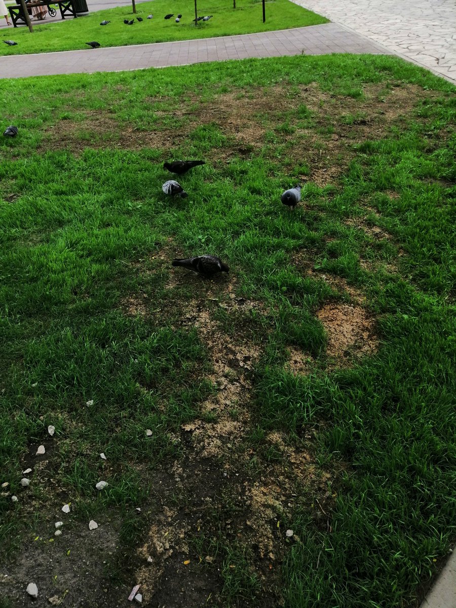 dct1ZXyPRpojITQ's tweet image. 