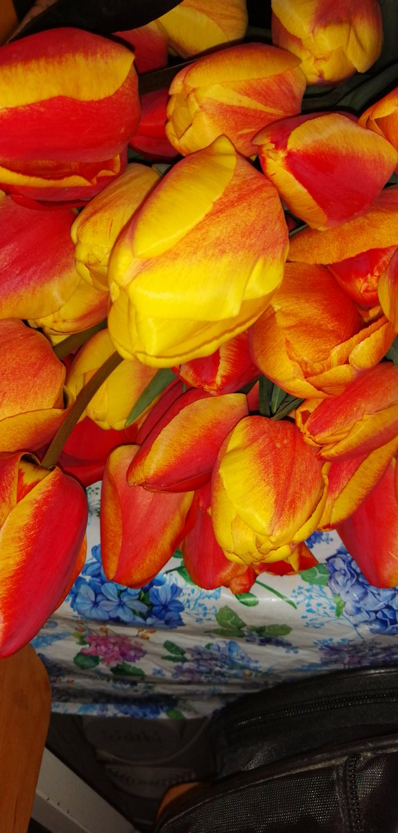 dct1ZXyPRpojITQ's tweet image. Обожаю природу