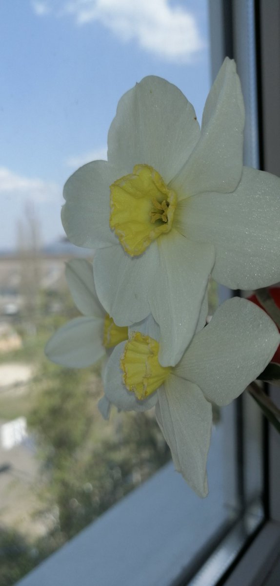 dct1ZXyPRpojITQ's tweet image. 