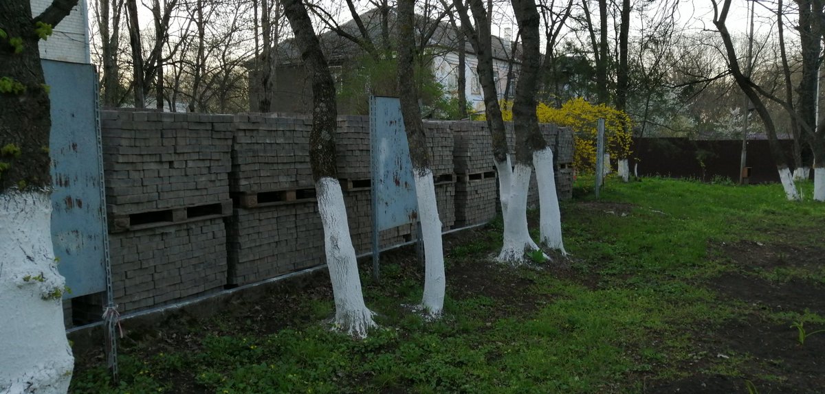 dct1ZXyPRpojITQ's tweet image. 