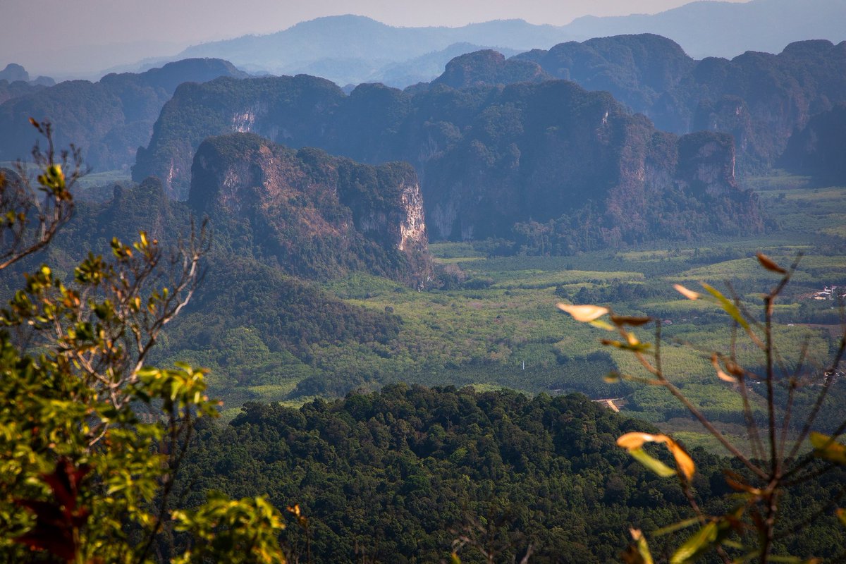 wildplanetblog's tweet photo. Best hiking trail in Krabi, Khao Ngon Nak!

https://t.co/uhEdNR48XN

#krabi #Thailand #TravelTuesday #naturelovers #NaturePhotography #hiking #landscape #landscapephotography #karst #Travel #beautiful #beautifuldestinations #travelling https://t.co/S9ItFEBaEW