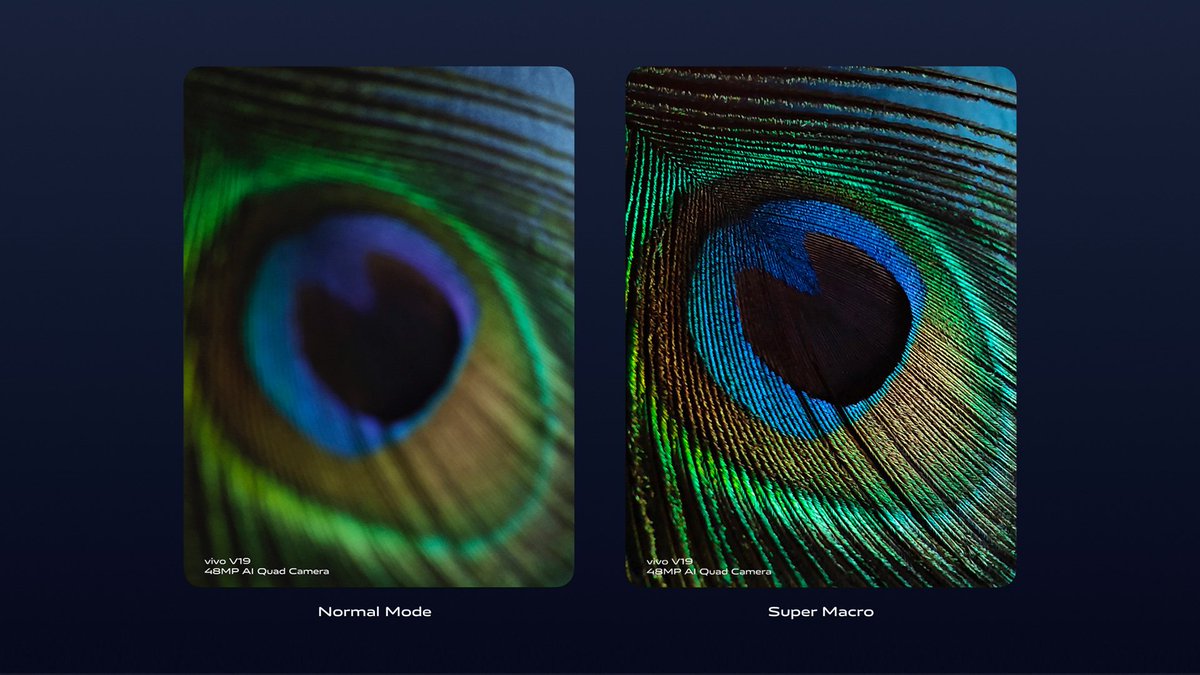 vivo_indonesia's tweet photo. Waktunya kamu eksplorasi berbagai angle dan mode baru dari 48MP AI Quad Camera Display #vivoV19.
Pilih mode apa yang paling kamu suka yuk di polling tweet selanjutnya! #vivoV19GrandLauch #PerfectNightPerfectYou https://t.co/6dehU28qbp