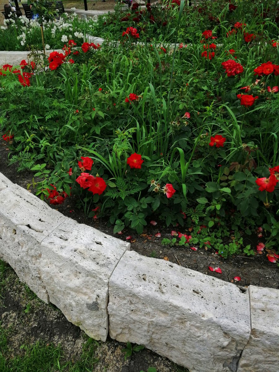 dct1ZXyPRpojITQ's tweet image. 