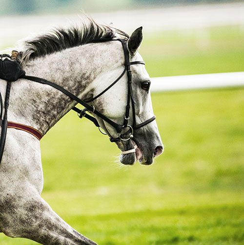 And they're off!  🏇 🏇 🏇 If you're off to the #races have a great time and if you need some last minute sunglasses do pop in to view our extensive range, including Maui Jim, Chloe, Aspinal of London and more!