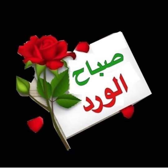 واتساب الإعلان عن ملصقات اللقاحات للجميع. عن وردة وفل - وردة الياسمين Pe Twitter يسر الله دربك للÙÙ„Ø§Ø ÙˆÙ…ØªØ¹Ùƒ بالصØÙ‡ والعاÙيه يومك الرضا عن Ø§Ù„Ù†ÙØ³ ØµØ¨Ø§Ø Ø§Ù„Ø®ÙŠØ±