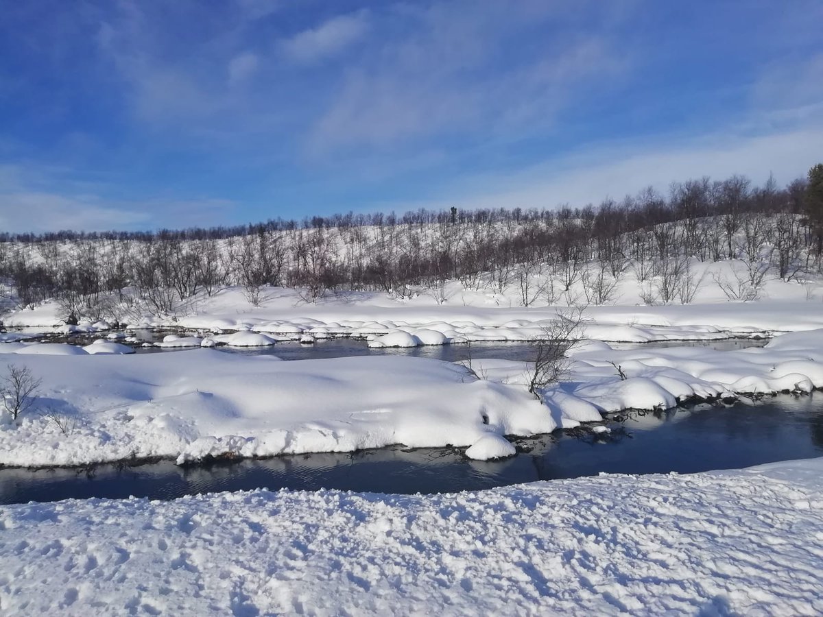 KMhansabar's tweet photo. The largest #spring in #Finland - #Sulaoja - is located about 10km from the #hotel right at the beginning of the #kevonreitti #hikingtrail 😎 this spot always stays #unfrozen and has birds swimming in it throughout the #winter ❄

#karigasniemi #utsjoki #lapland #exploreutsjoki https://t.co/aTbzql6G7I