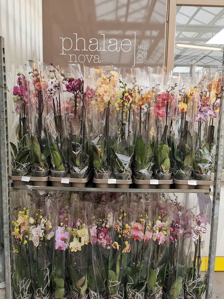 phalaenova1's tweet photo. Daar is hij weer! De 100 kleuren kar. https://t.co/bOZx0kUNx4