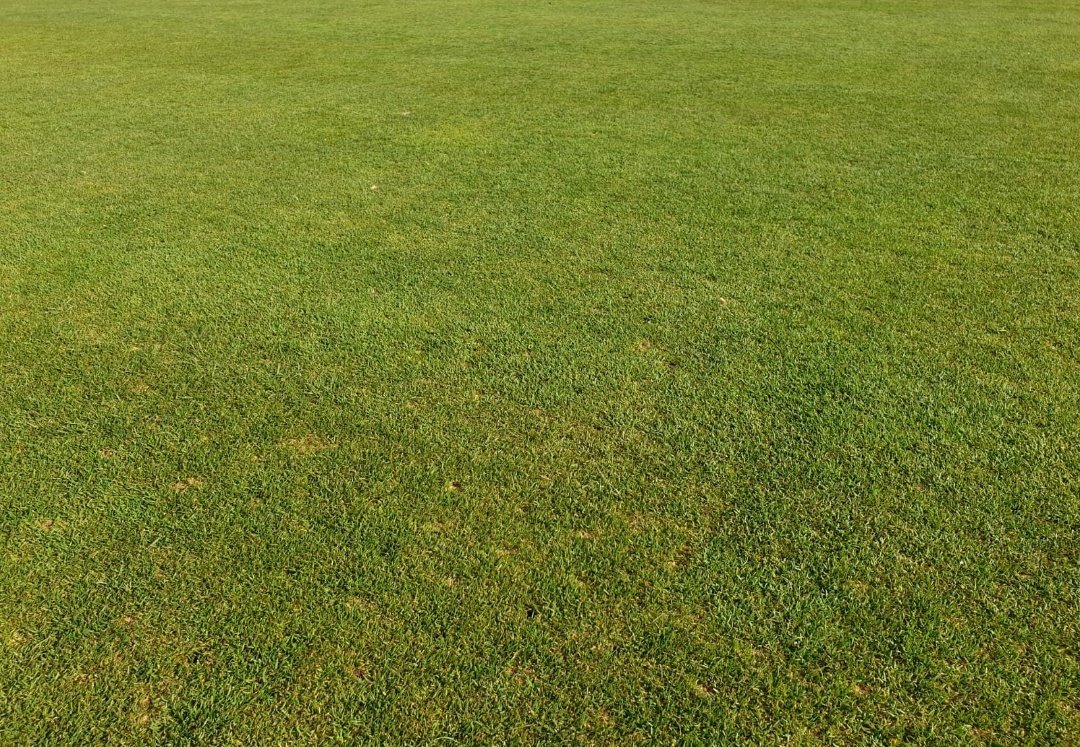 ICL_Turf's tweet image. The greens at @GkThorns are recovering well just 9 days after spring renovation.

8mm hollow tines &amp;amp; 25 tons of sand with an application of Greenmaster Pro-Lite Invigorator Plus 4-0-14 +2MgO +8Fe (30g/m2) providing the nutrition to aid recovery.

#productsthatperform