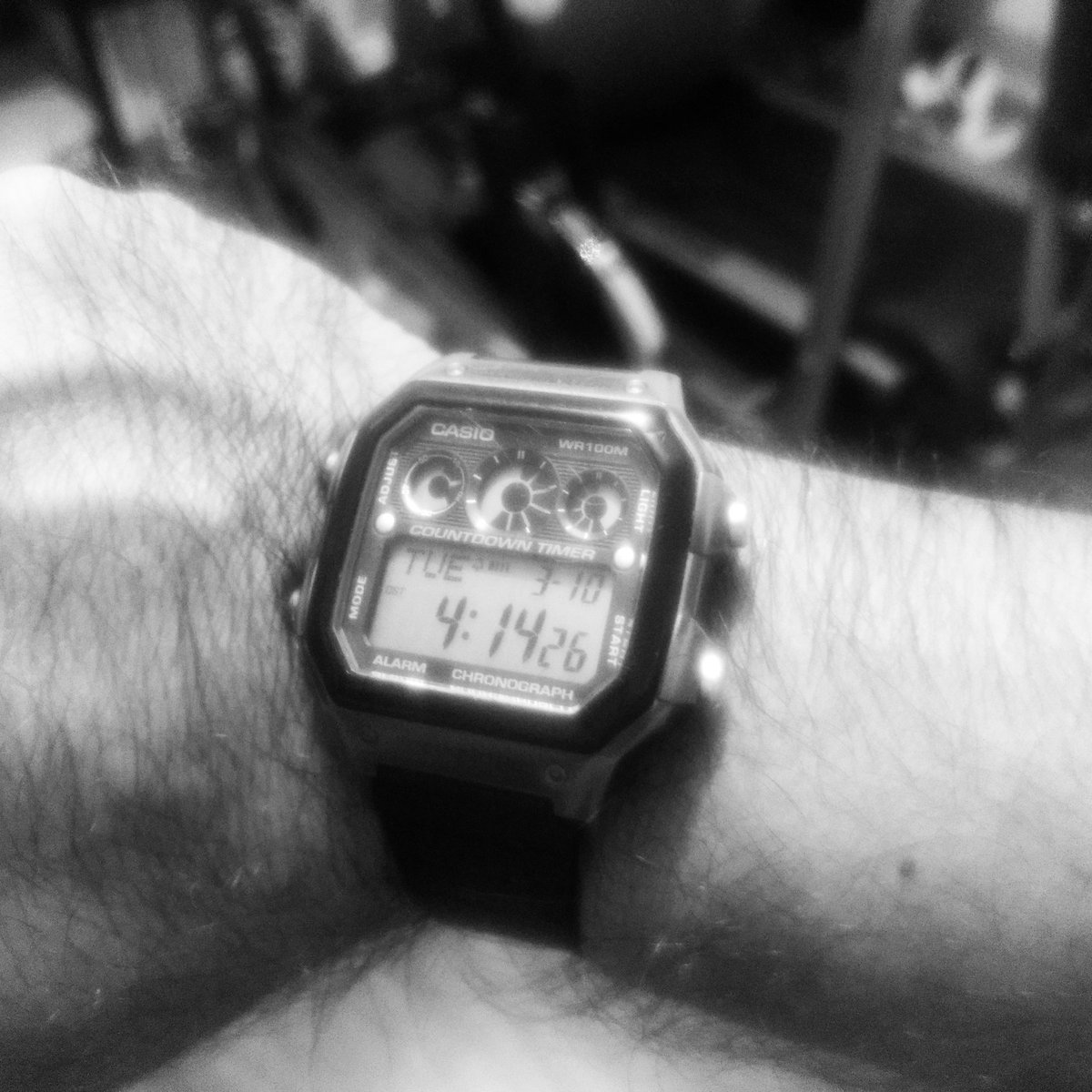 cesaralderetemx's tweet photo. Lo importante es que tú creas en ti, aún cuando nadie más lo haga🇲🇽🔱👊
---
#CesarAldereteMX #JockoWillink #ExtremeOwnerShip #WayOfTheSeal #UnbeatableMind https://t.co/wAH5kbrqAj