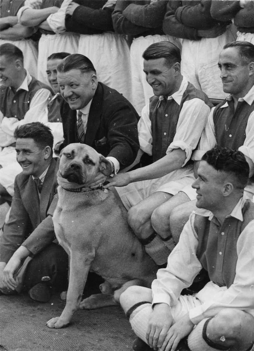 ftbllrswanimals's tweet photo. Arsenal's squad with a dog as mascot in the pre-Gunnersaurus era https://t.co/x4U2oLs0c3