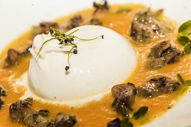 A tasty lunch idea at Tuscan Bistro: burrata with pumpkin cream and porcini mushrooms.
​​​photocredits @elisazanetti
​
​#ilborrotuscanbistro ift.tt/2TWRiVr