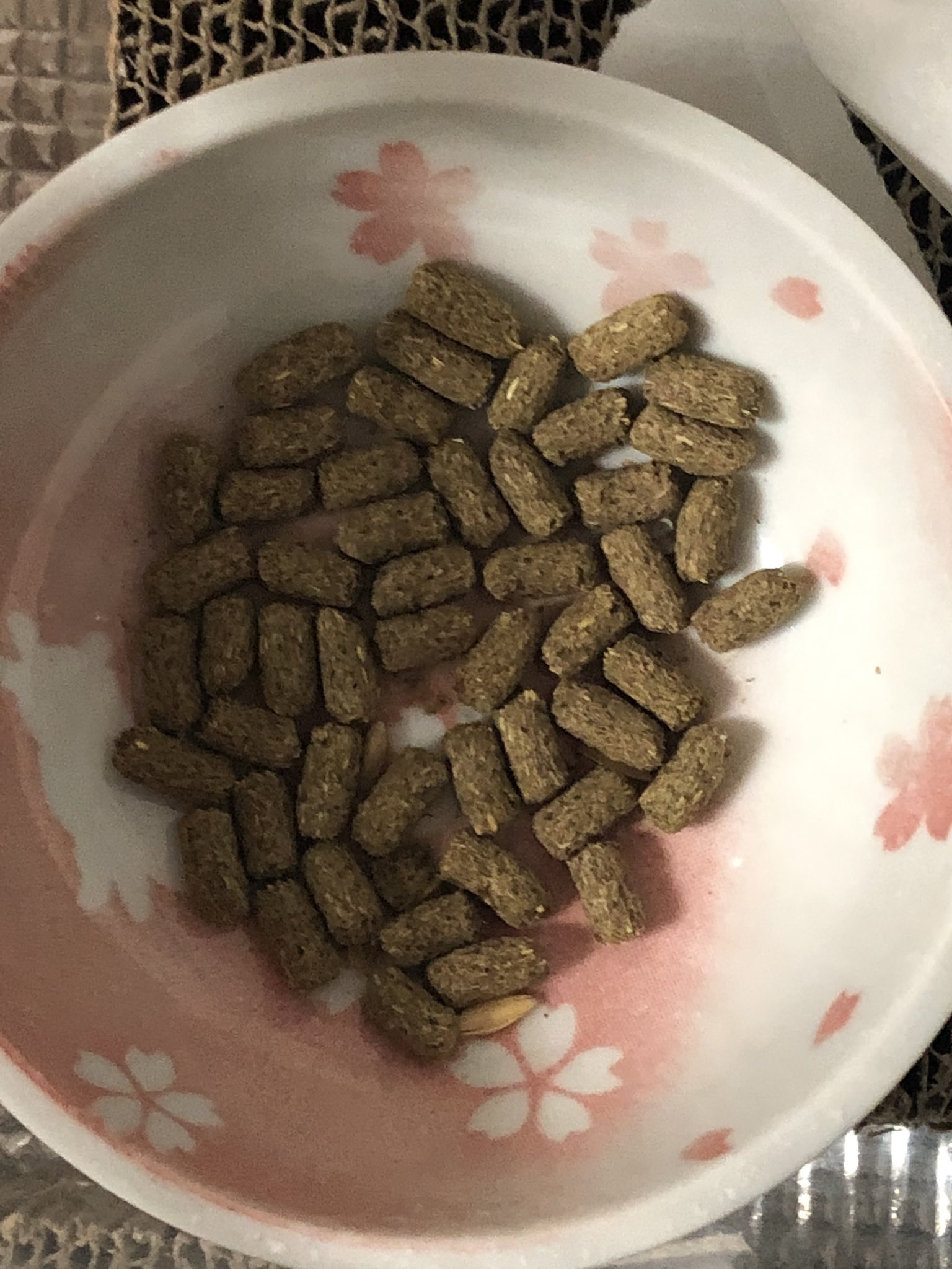 Coda Pa Twitter こちら食べさせていたハムスターの餌が生産終了だかコロナ騒ぎだかで手に入らなくなり以前の高級 フードから半額以下のフードにきりかえたことを申し訳なく思っていた飼い主のことなど知らず 2種類のフードを混ぜて出しても高級フードだけ食べ残すよう