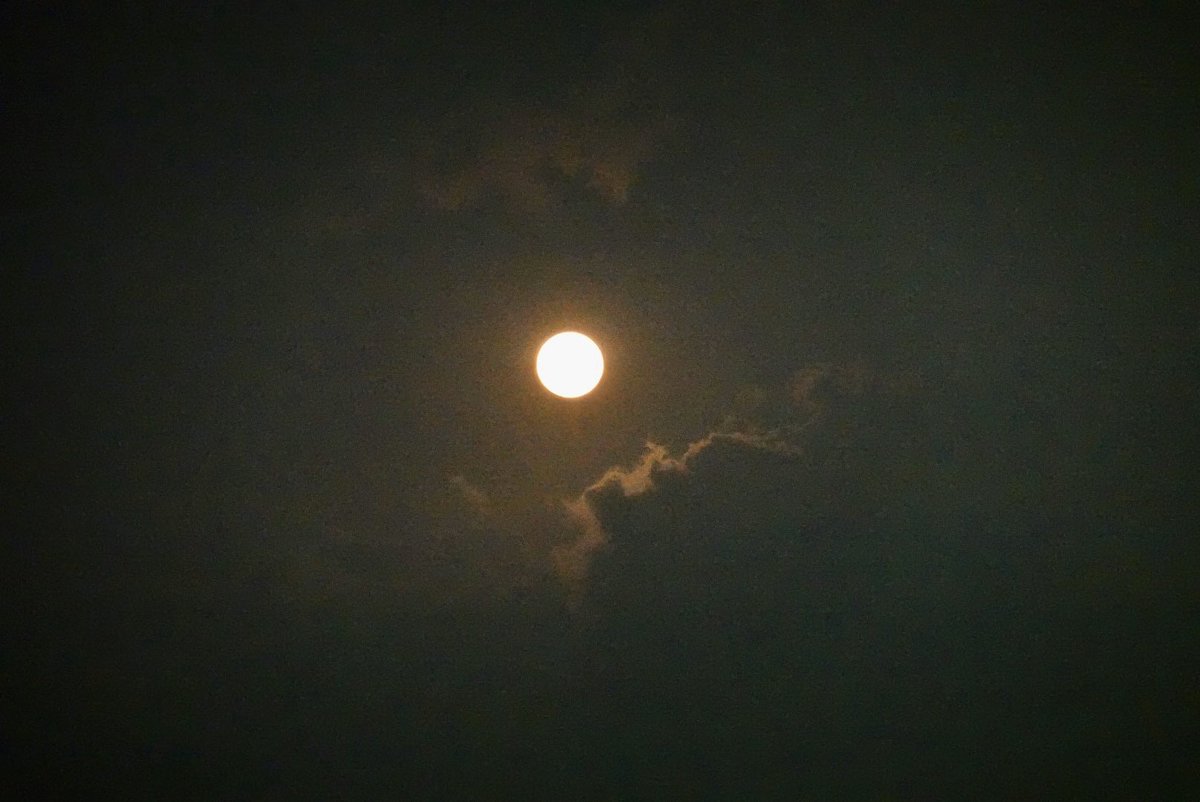gmanews's tweet image. LOOK: The first super moon of 2020, also called The Super Worm Moon... just before the clouds rolled in | via @raffytima