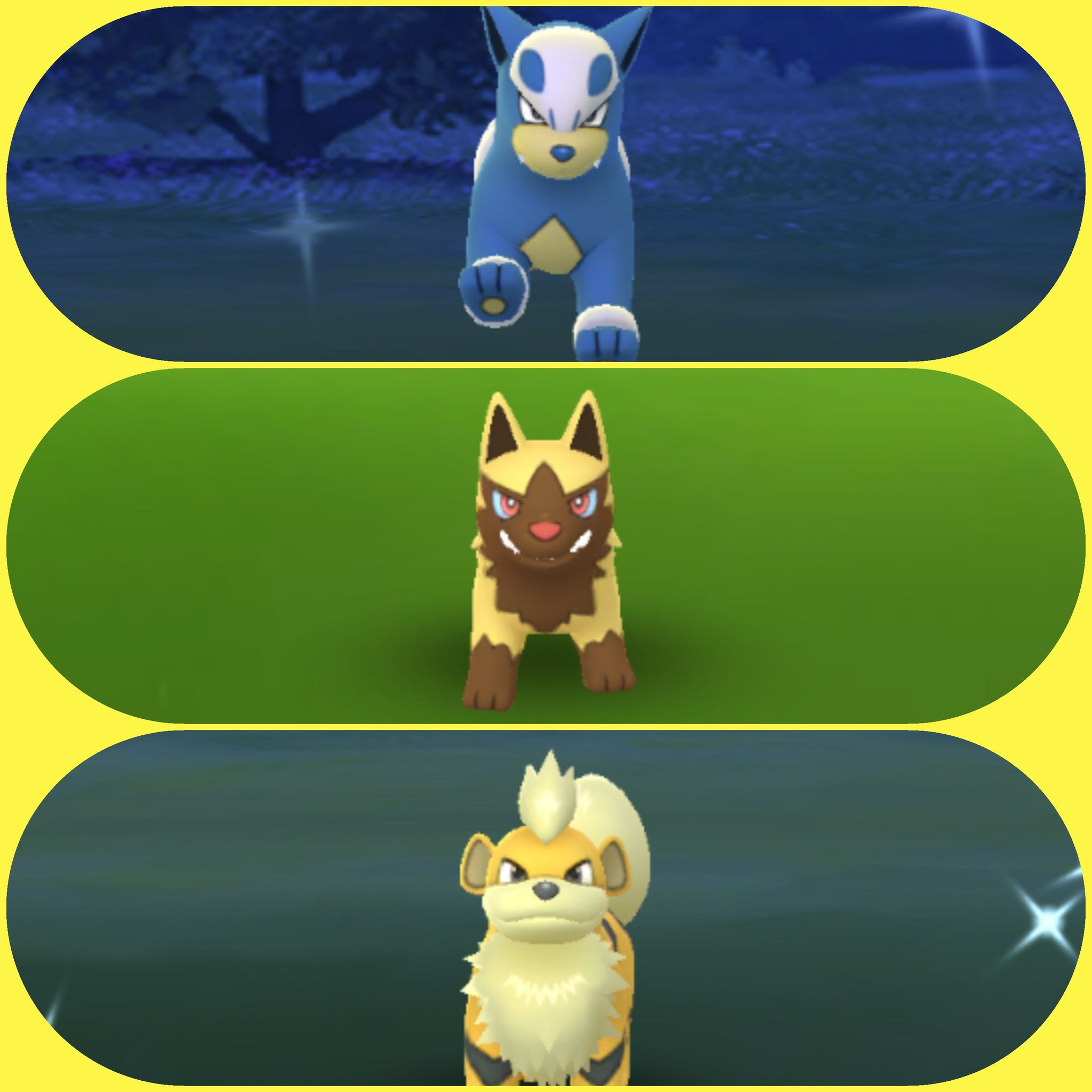 Amazinghisa 今日のポケモンgo活動2 帰りの道中 色違いヨーテリー4匹目来た ガーディやデルビル ポチエナなど犬ポケモンとはよく色違いと出逢いやすい 自分が犬年だからかな ポケモンgo ヨーテリー ガーディ デルビル ポチエナ 色違い