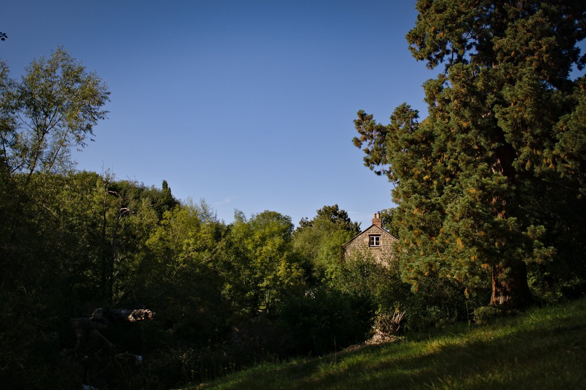 Ben Fitkov-Norris tweet media