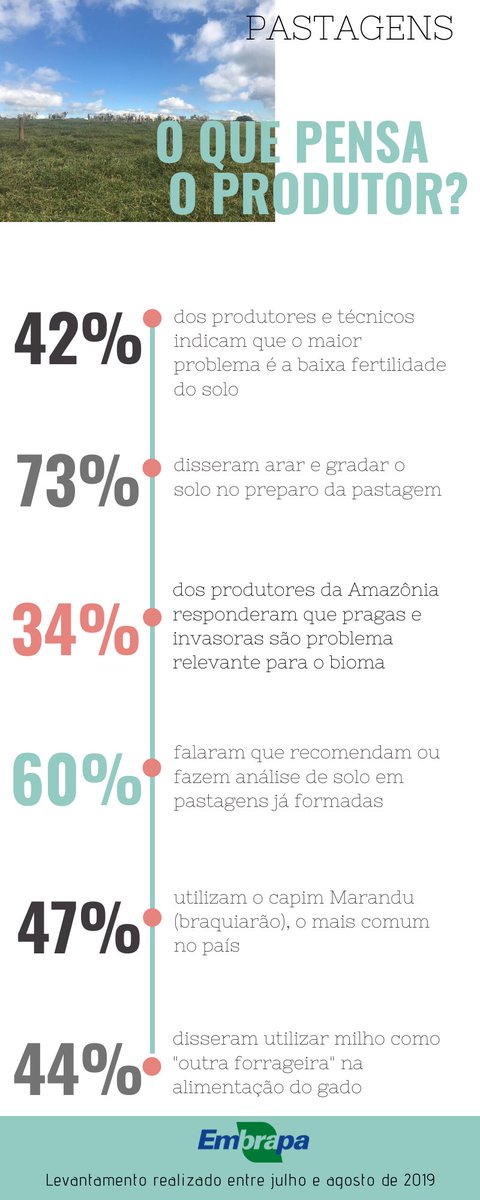 NorteAgroTO's tweet photo. Baixa fertilidade do solo é o maior problema para desenvolver a atividade, avaliam pecuaristas brasileiros
➡️ Leia: https://t.co/g22BB8Xoqb #NorteAgroTO #pecuária #pecuáriadecorte #pecuáriadeleite #pecuárialeiteira #fertilidadedosolo #solo #pastagem #forrageira #agronegócio https://t.co/ekIi34aVSU
