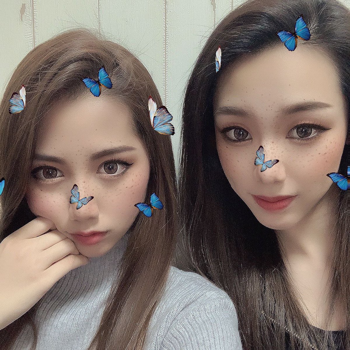 Kxxay28's tweet photo. 🦋 https://t.co/5uYHe17EUW