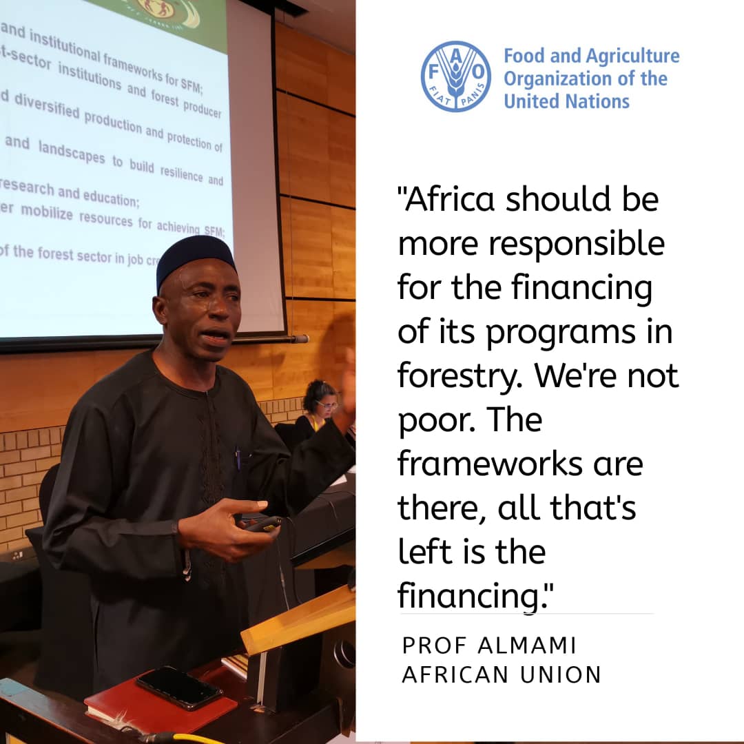 AlmamiDampha's tweet photo. During the 22nd session of the African Forestry and wildlife Commission in Skukuza, Mpumalanga, South Africa. https://t.co/cWYxn2ie52