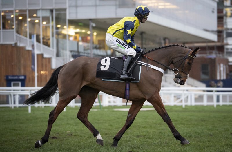 Gran Luna winning her first bumper at #newburyracecourse for @SurreyRacing! 🏇🏻
My first win for @sevenbarrows 
📸 credit to @FranAltoftPhoto