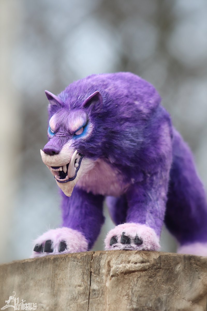 Panteriusa's tweet photo. 💜Gara💜
Height : 15 cm (6 inch)
Length: 29 cm (11,4 inch)
Width: 8 cm (3,1 inch)
You can try to win this toy on the Patreon until March 14.
#panterius #Gara #handmade #toy #polymerclay #warcraft #worldofwarcraft #pet #toys #wolf #purple #hunter #hunterpet #wolf #Werewolf #worgen https://t.co/Qylnmi5kAC