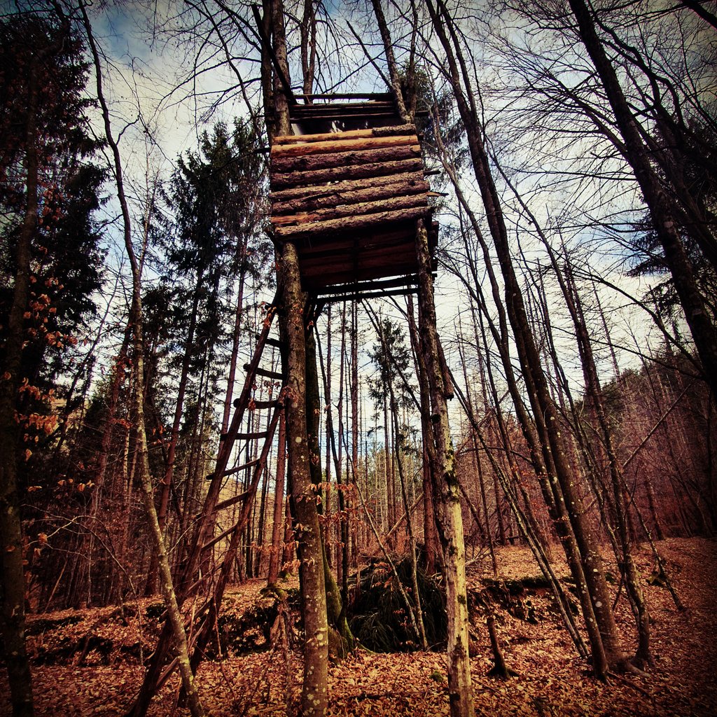 Highlan13504017's tweet photo. Gorjanova preža :).
#gorjan #zivljenjegorjana #gorjanci #discoverbrezice #ifeelslovenia #highlanderlife #roamtheplanet #slovenia #slovenija #catez #global4nature https://t.co/1mryyM4krz
