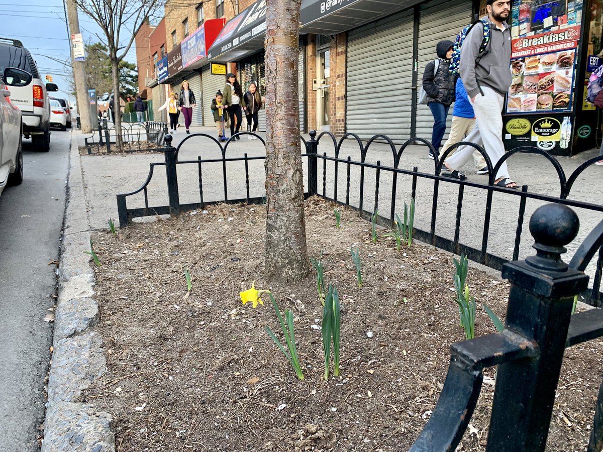 Public School Ps Twitter