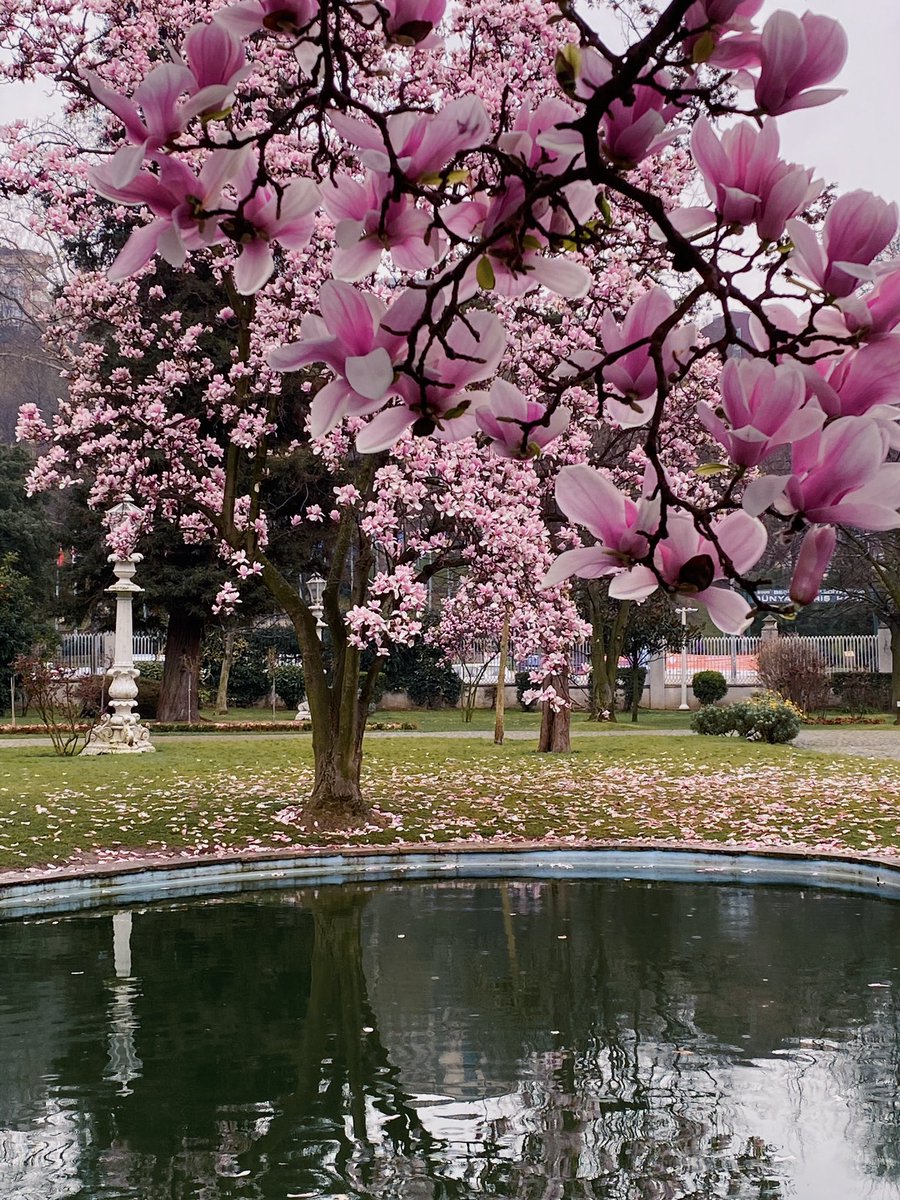 ekahifa's tweet image. istanbul’da ilkbahar,ıhlamur kasrı