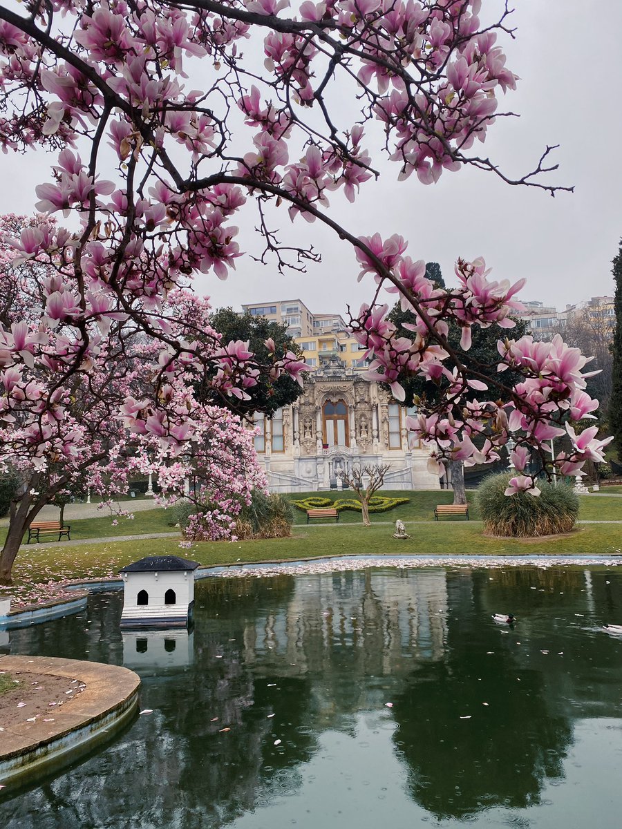 ekahifa's tweet image. istanbul’da ilkbahar,ıhlamur kasrı