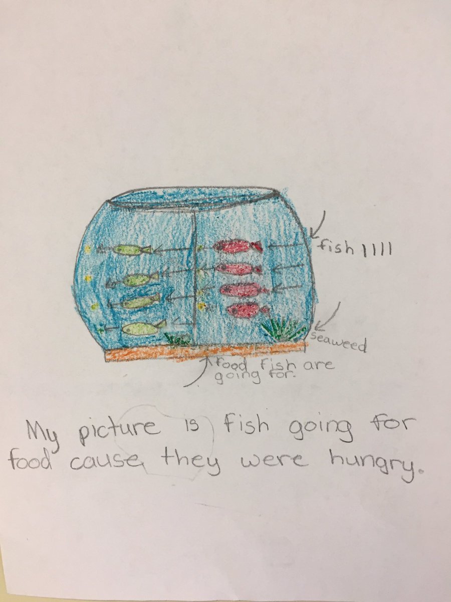 Price_3rdGrade's tweet image. Open-Ended Math Task!

“Half the fish in a fishbowl are red. What might this look like?” 

#MathWorkshop #DedicatedDavisDragons #Creativity #OpenEndedTask