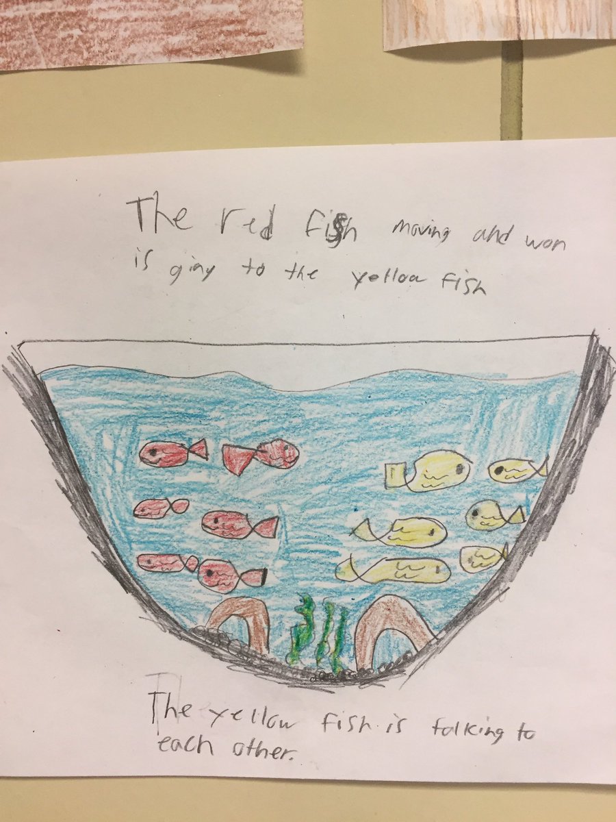 Price_3rdGrade's tweet image. Open-Ended Math Task!

“Half the fish in a fishbowl are red. What might this look like?” 

#MathWorkshop #DedicatedDavisDragons #Creativity #OpenEndedTask