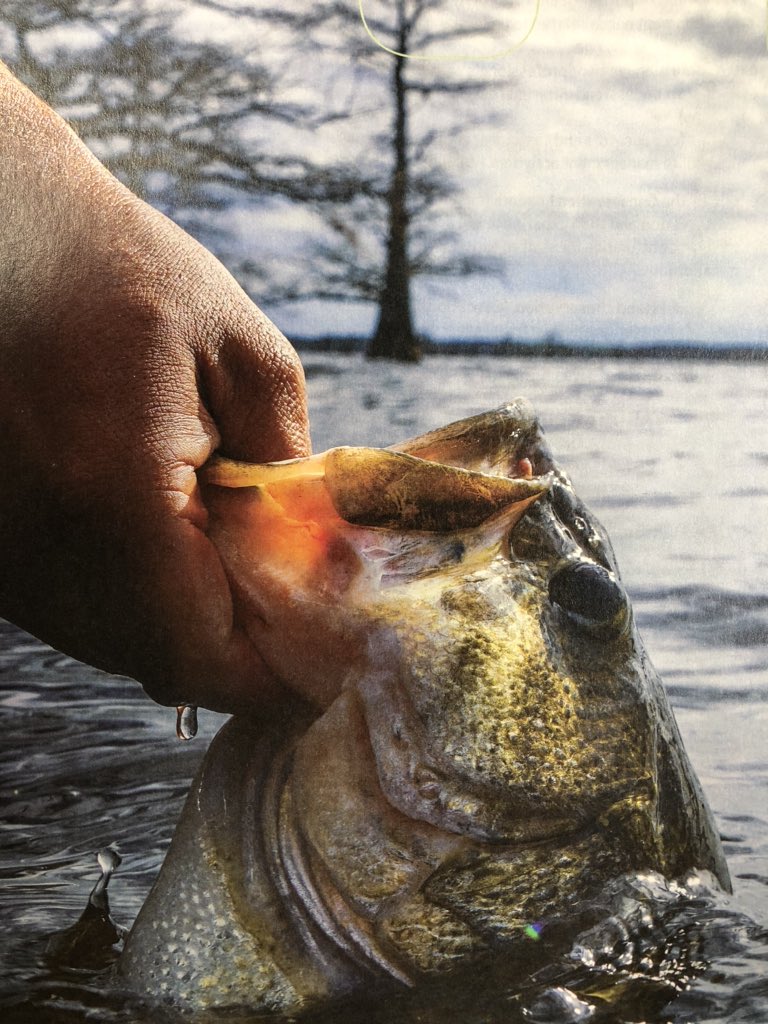 dakotafarms's tweet photo. Business is picking up on the waters across Arkansas, don’t miss out on the action. Get your fishing license and hit the banks or waters to hook some memories!! #gamewardens #fisharkansas #unplugged @ARGameandFish @_meganperk https://t.co/3CbCgZ47jK