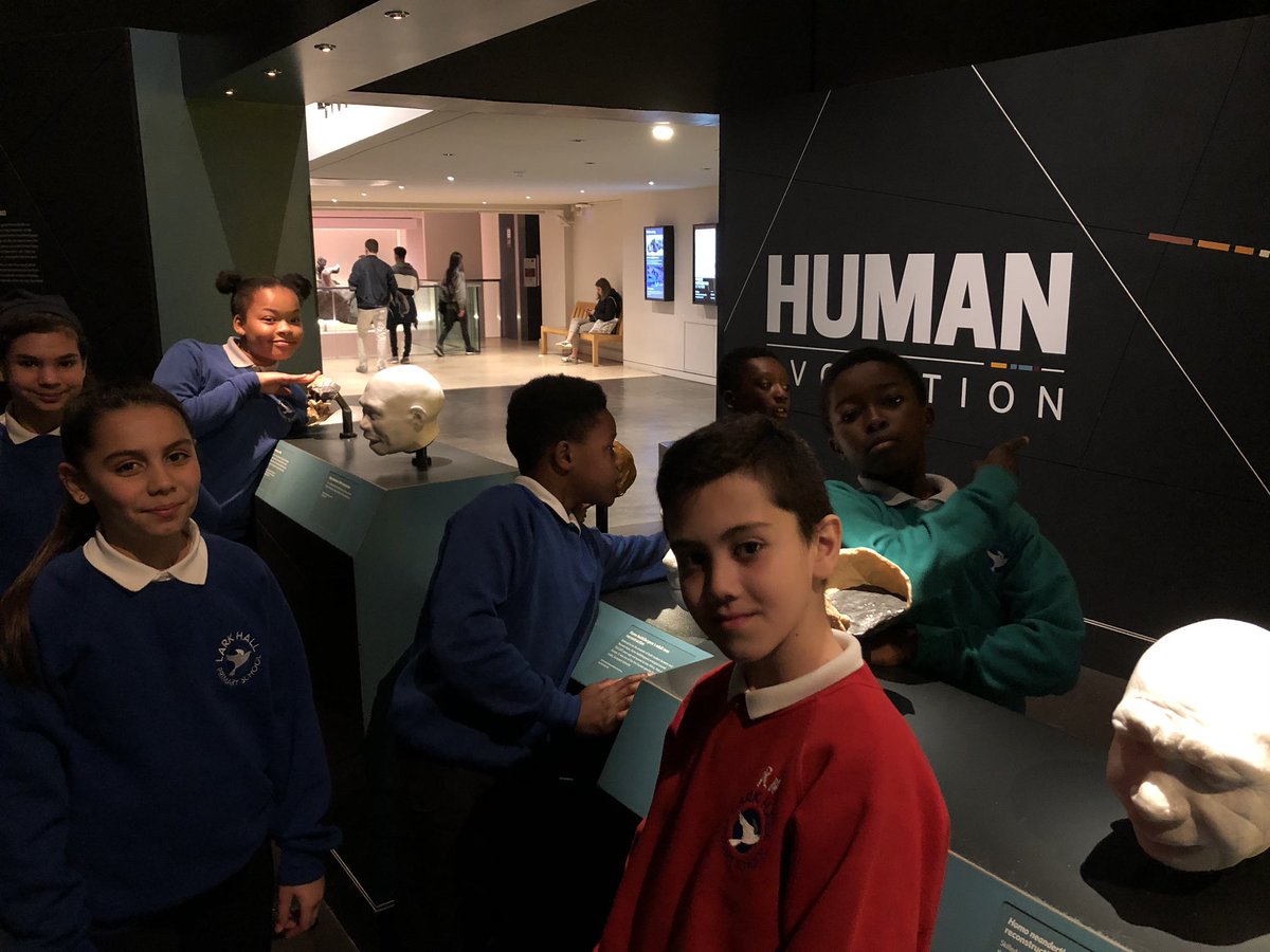 LarkHallPrimary's tweet photo. Year 6 exploring human evolution and more @NHM_London #lhstu #lhcake https://t.co/Gb01UPXhK3