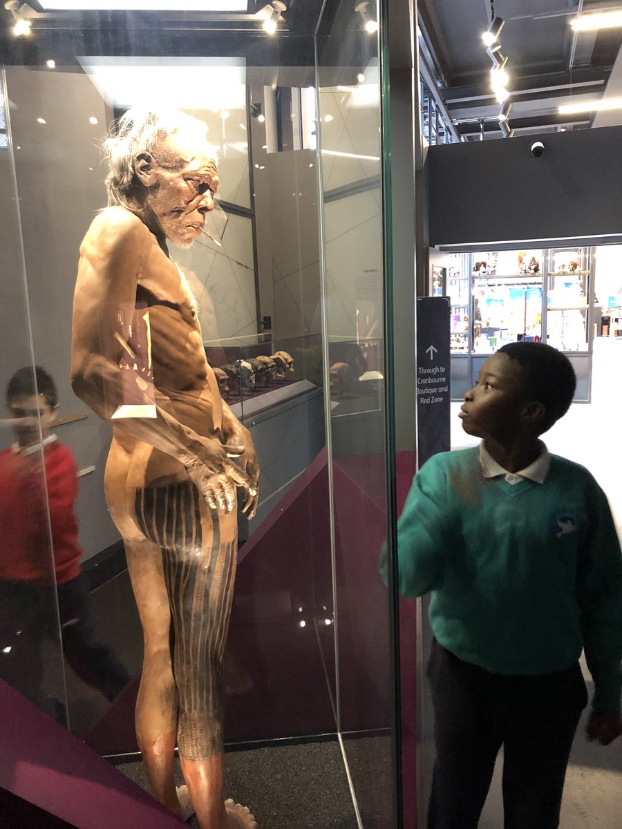 LarkHallPrimary's tweet photo. Year 6 exploring human evolution and more @NHM_London #lhstu #lhcake https://t.co/Gb01UPXhK3