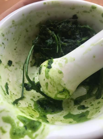 FPLRS_UP's tweet image. The percentage of sugar content in pastures is of great concern. Here @kayleigh265, MSc student, is determining sugar content in field using a refractometer to perform the Brix test on sap obtained from pastures. #FPLRS #BrixTest #Pastures #PastureScience #research