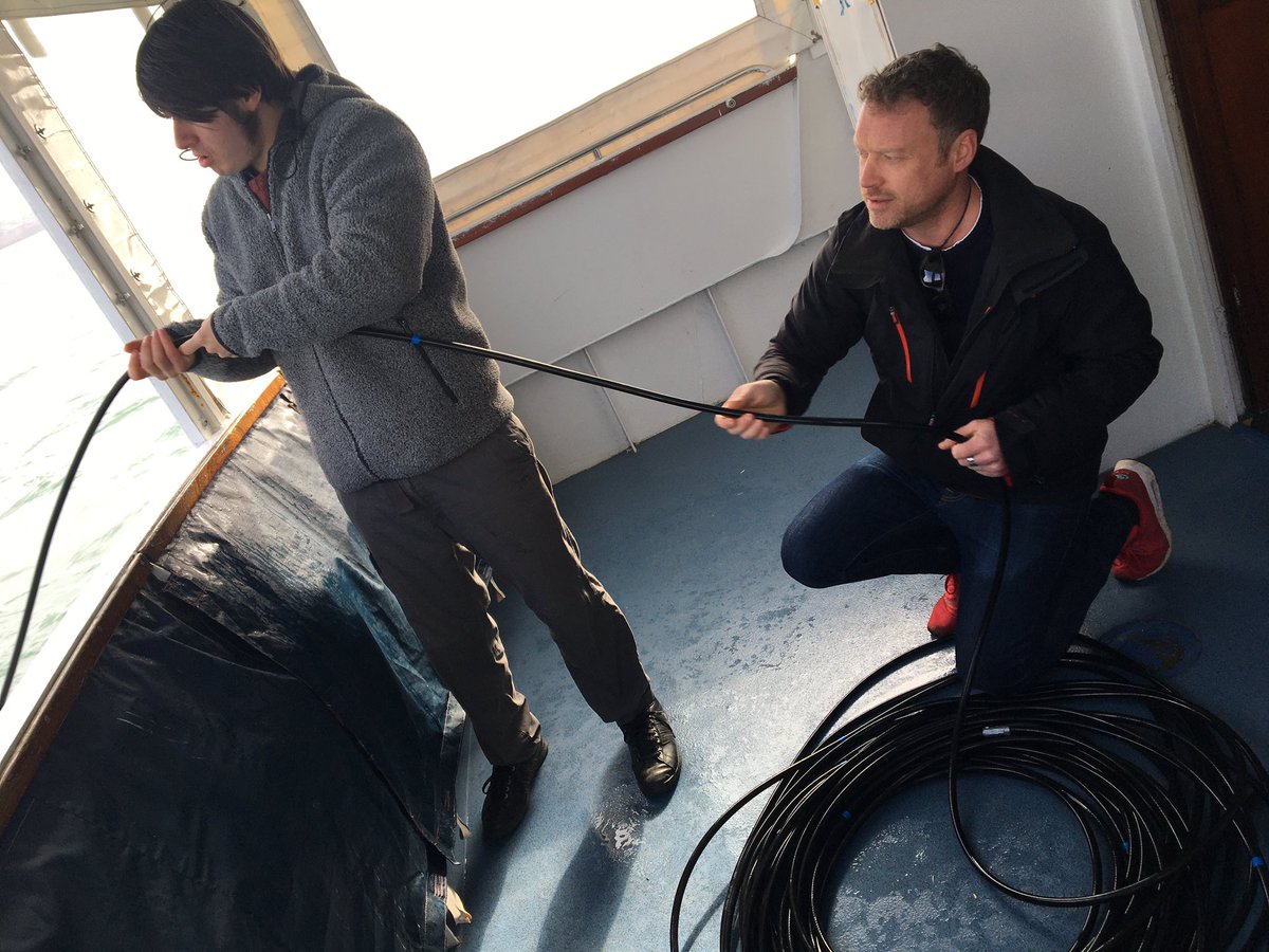 Seiche Training tweet media