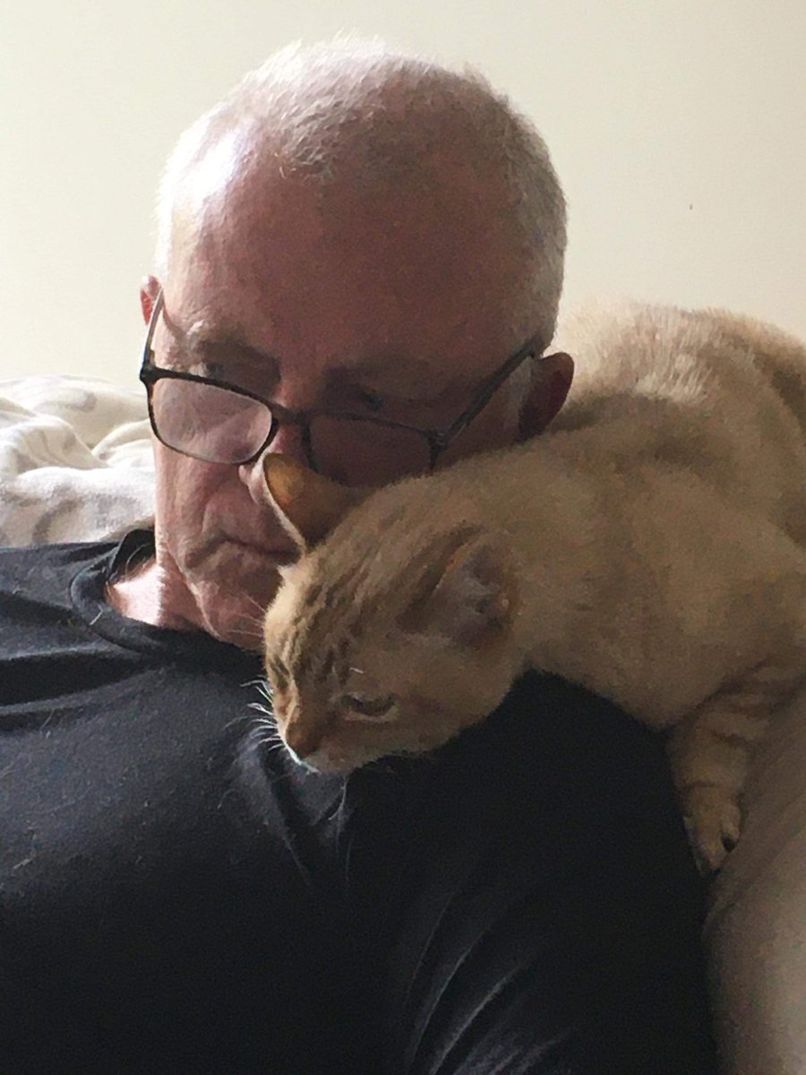 billbellew's tweet photo. Was reviewing some detailed science from .@profjsalmon today. #schools #physicalactivity
Fortunately, my assistant Prof Luka was on hand to offer assistance!
#Tricky #Bias #Compensation #ResearchDesign #QualityOfEvidence
Luka is strict.. "more evidence needed" https://t.co/dmAhFYTWl0