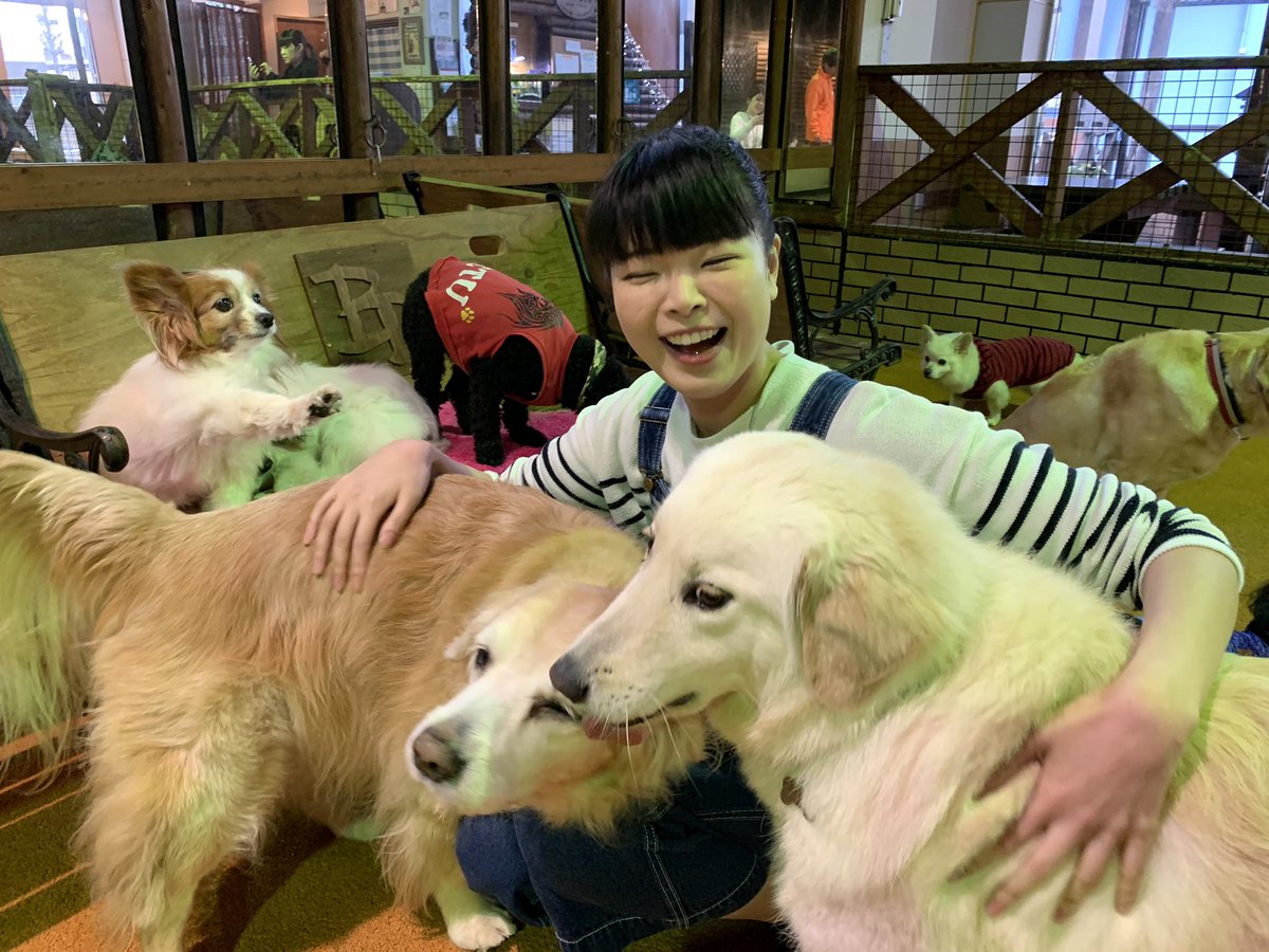 Eo光チャンネル 今日のゲツキンmineo中継は ワンちゃんと飼い主が共に笑顔で暮らせるようにサポートしてくれる 寝屋川市のbig Dogをご紹介 室内でもできるミニ アジリティに挑戦しましたよ Bigdog 犬 ワンちゃん アジリティ ミニアジリティ 犬の Eo光チャンネル 今日のゲツキンmineo中継は ワンちゃんと飼い主が共に笑顔で暮らせるようにサポートしてくれる 寝屋川市のbig Dogをご紹介 室内でもできるミニ アジリティに挑戦しましたよ Bigdog 犬 ワンちゃん アジリティ ミニアジリティ 犬の