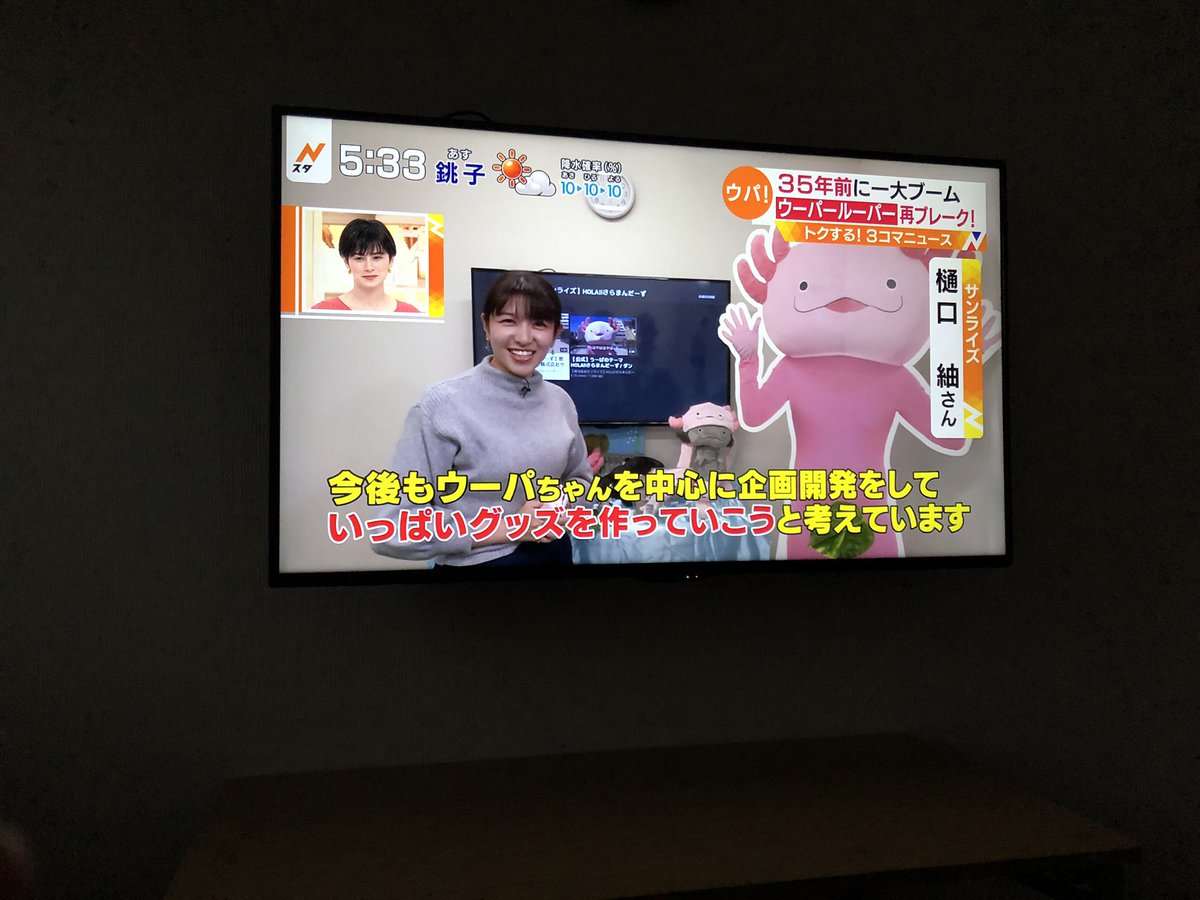 Shopサンライズ Tbsテレビ Nスタ にてhola さらまんだーずが紹介されました しっかり取材もしていただきましたー T Co M01egaq51q