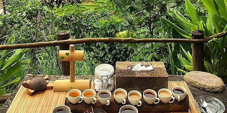 kamalacempaka's tweet photo. Paket Tour Ubud
๐ฟUbud Swing
๐ณUbud Coffee Plantation
๐ฟUbud Market
๐Monkey Forest Ubud
Special Drop Down Price in March only IDR 450.000 per car for 4 pax.
Bookings & Details contact us @Sadina_Bali or DM me
#ubudpromo
#ubudtour
#monkeyforestubud
#ubudswing
#ubudcoffeeplants https://t.co/Kr5VQaLEAd