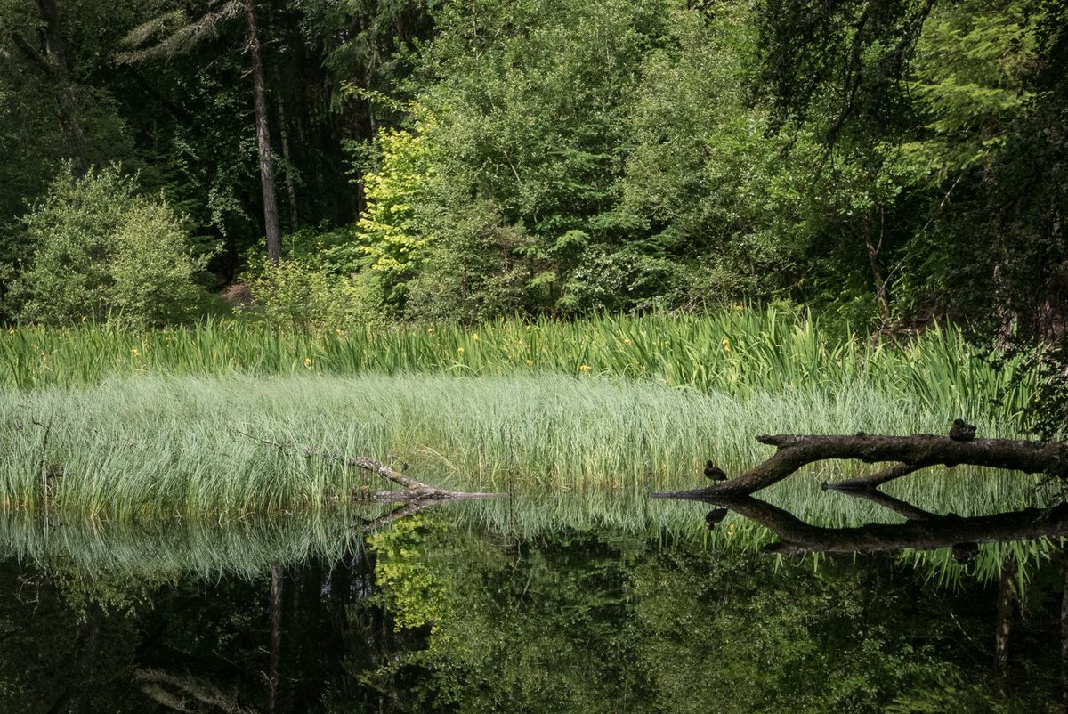 John Muir Trust Johnmuirtrust Twitter