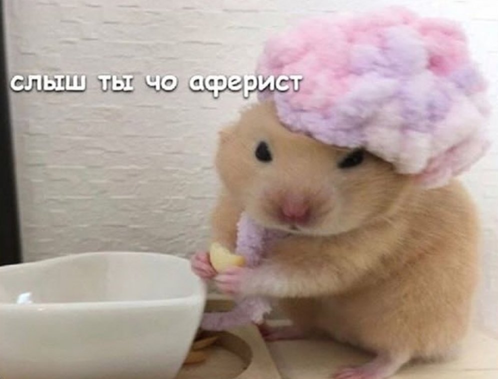verai_a's tweet photo. Мама: " заказывает вещи через интернет магазин "
Магазин: " введите данные карты для оплаты товара "
Мама : https://t.co/dtTMyOBJAN