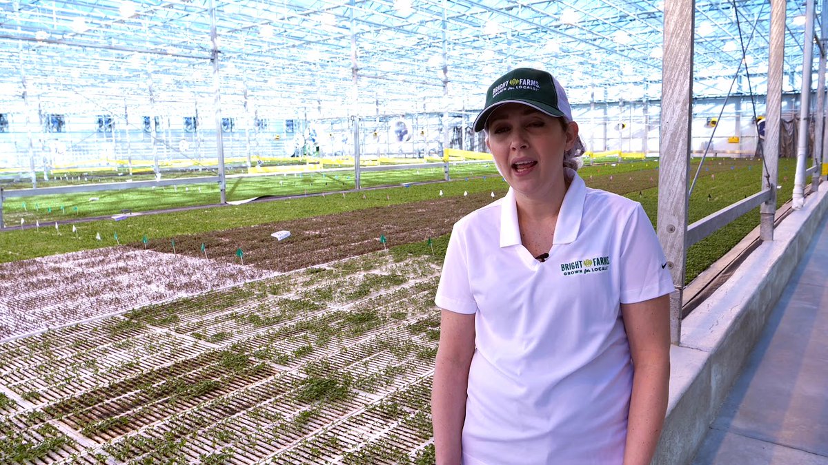 jamesatibm's tweet image. This is an interesting use case from BrightFarms.  Are you using Blockchain ... yet? #ibm #devops #ibmdevops #ibmcloud #blockchain bit.ly/2wDyYZk