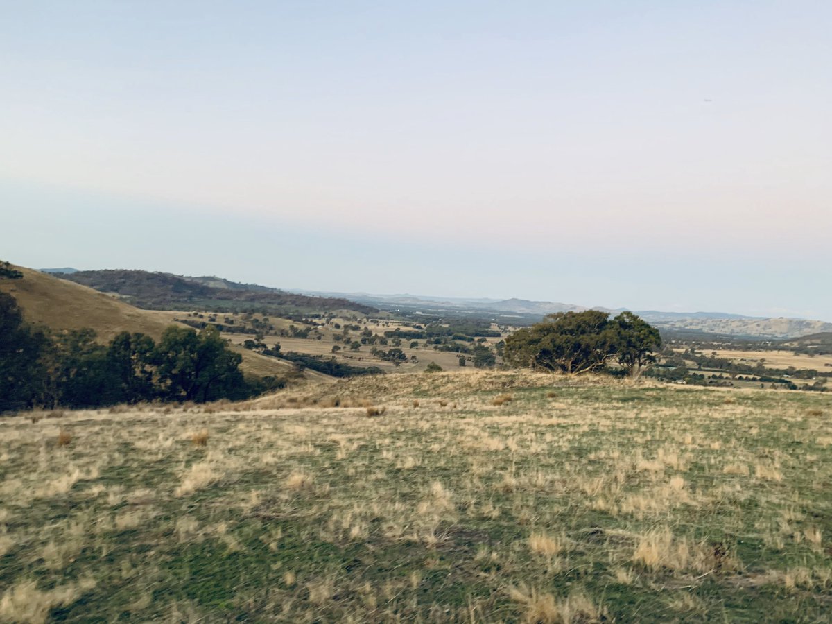 Millie Bourke tweet media