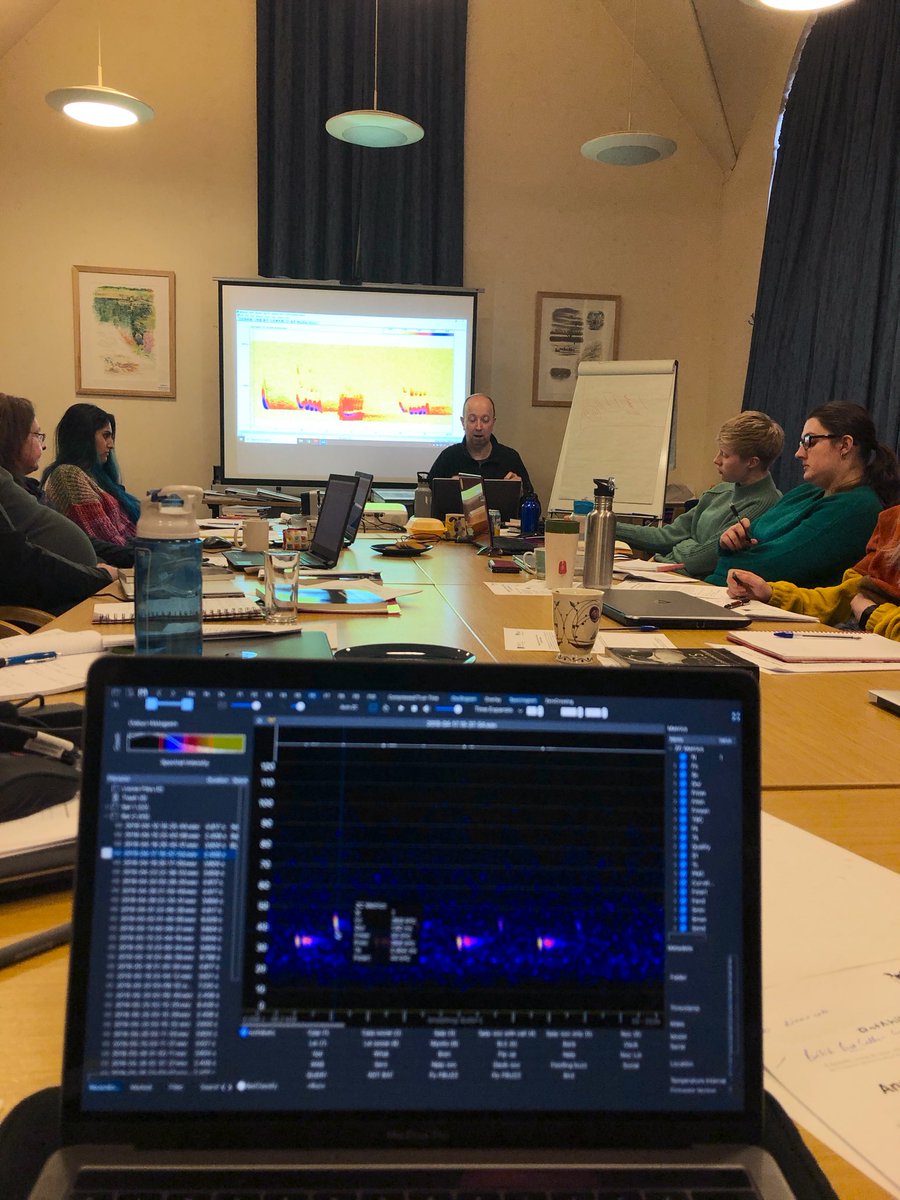 NottsBatGroup's tweet image. On Sunday we attended a fascinating @BatAbility training day learning #bat #bioacoustics and #soundanalysis! 🤓

The @miner2major funded training helped expand our knowledge of #anabat, species ID, and the complicated, but wonderful world of bat communication!🦇🗣👂#lovebats