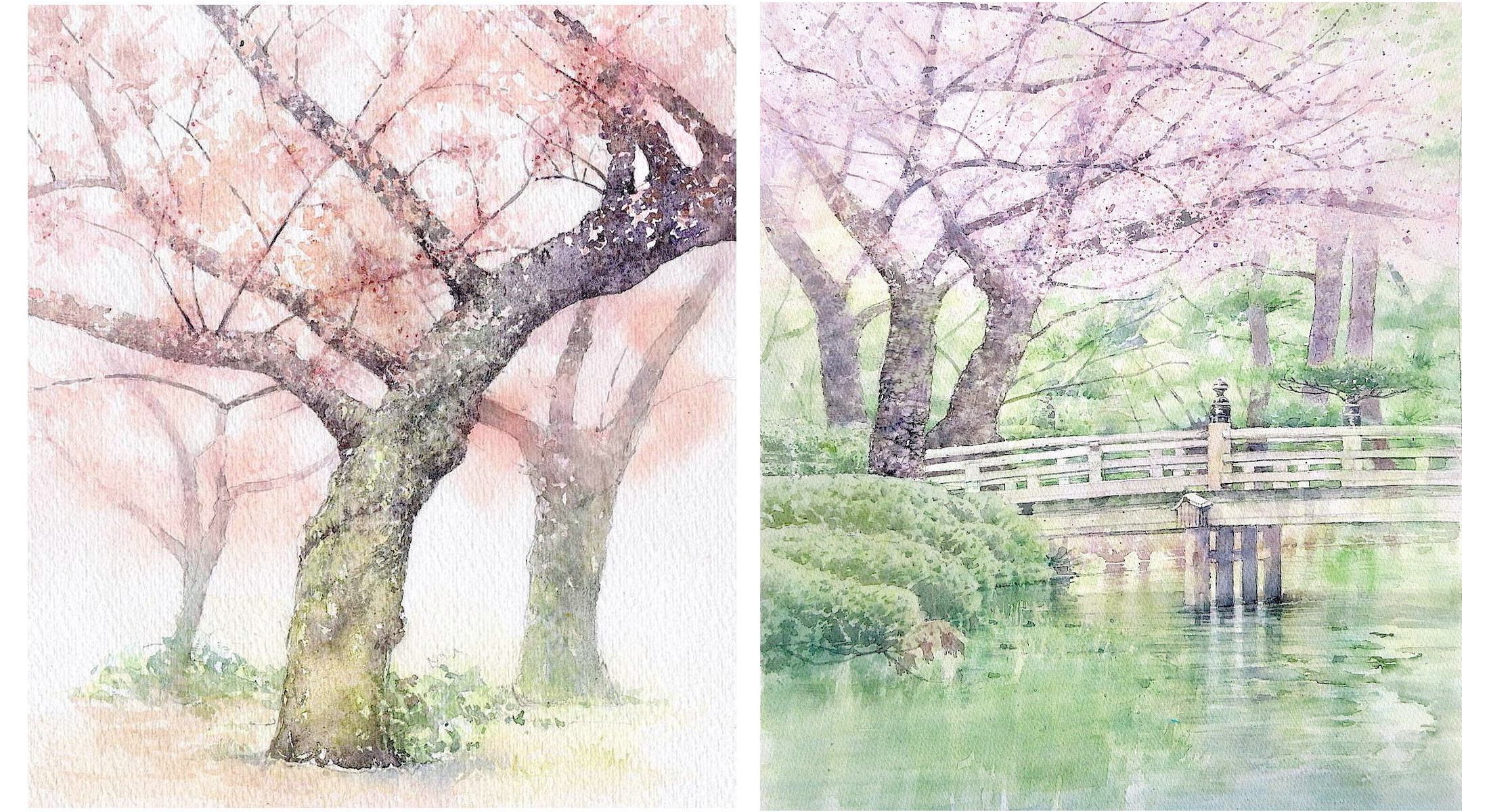 癒しの水彩画1073 桜