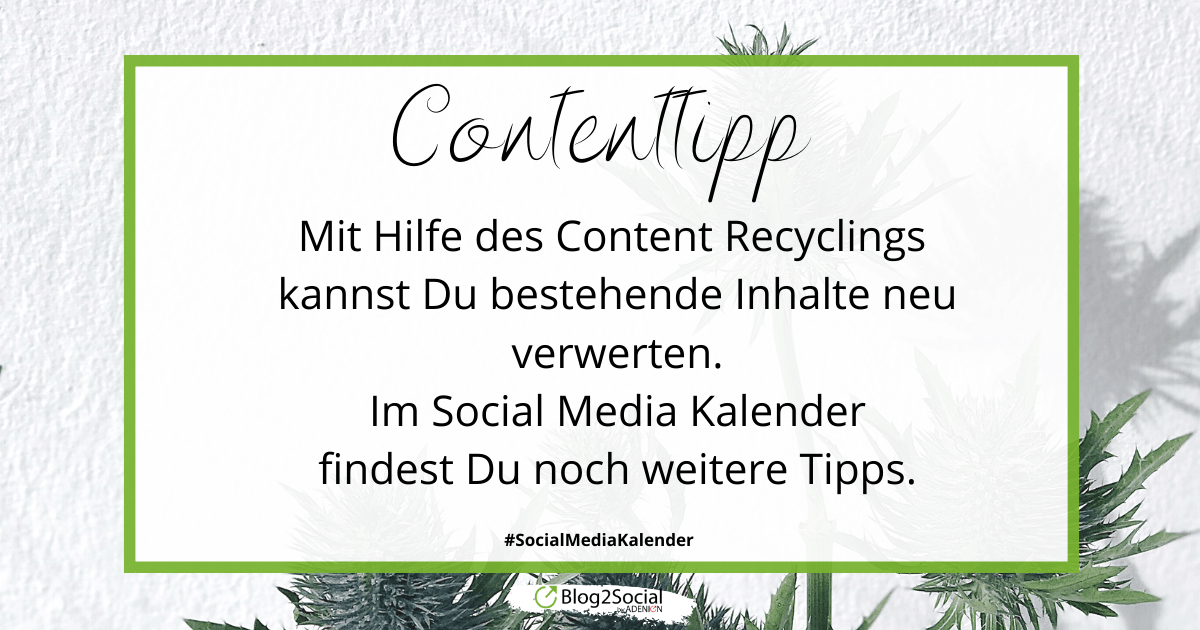 Melanie_Tamble's tweet photo. Nutze das Content Recycling, um mehr Reichweite und Website Traffic zu erzielen.
So kannst Du Deine Inhalte noch nachhaltiger gestalten und Deinen Beiträgen immer wieder neues
Leben einhauchen.
#Contentrecycling #Contenttipp #SocialMediaKalender … https://t.co/QS98VxLAGw