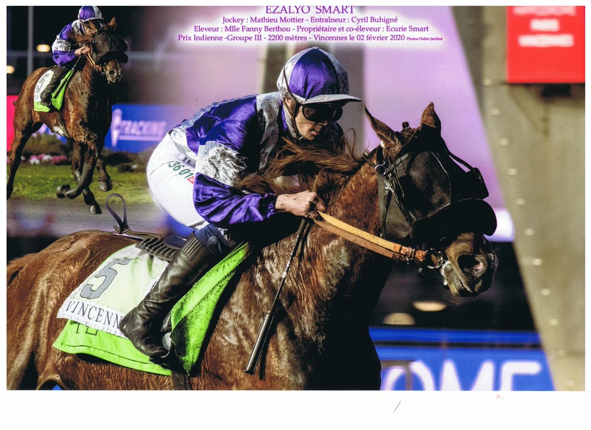 Il est pas beau notre champion ? EZALYO SMART lors de ces 2 magistrales victoires de cette fin de meeting 19/20.
#EcurieSmart #Princegédé <a href="/ChrisitsTROT/">Christian LeBarbey</a> #horseracing <a href="/LeTrot/">Trotteur Français</a> @vhpofficiel <a href="/MathieuMottier/">mathieu mottier</a> #trotteur