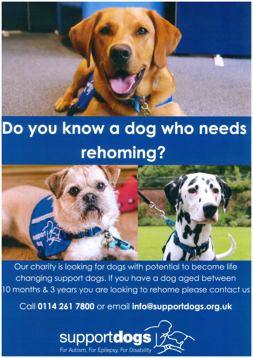 Abbey House Vets tweet media