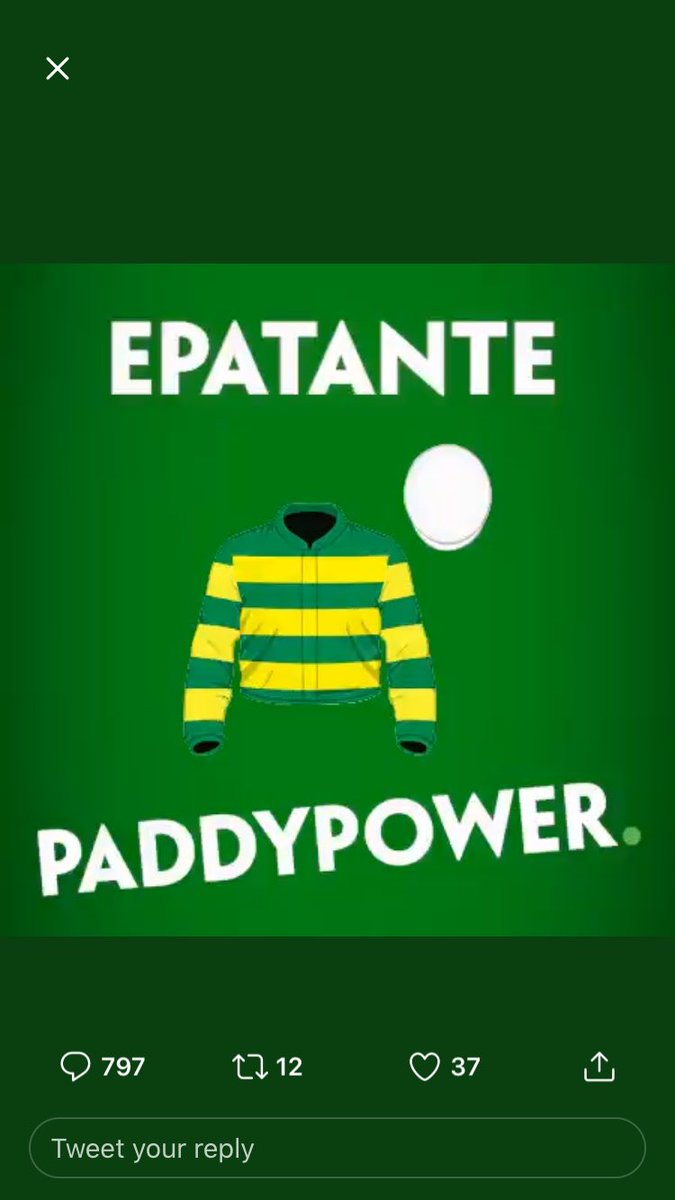 swajones83's tweet photo. @paddypower #PPCheltenham https://t.co/X2q3PzIxPw