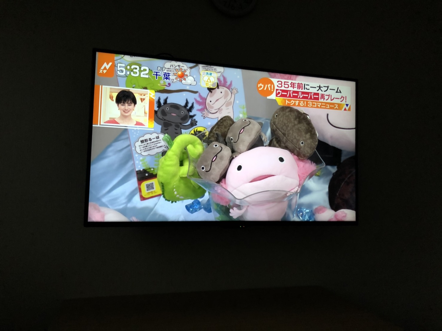 公式 Hola さらまんだーず 今日はｔｂｓのnスタでhola さらまんだーずの商品がちょっぴり映ったうぱ 会社にもスタッフの皆さんが取材に来てくれたうぱ 岡山大学の佐藤教授が被っているのはうーぱのboxティッシュカバーうぱ 使い方が斬新うぱね